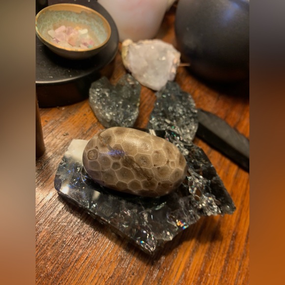 Petoskey stone - Picture 4 of 5